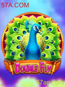 Explorando o Universo de DoubleFly: Um Mergulho em Suas Regras e Dinâmicas